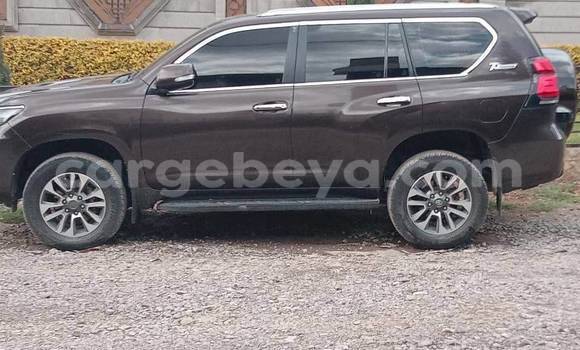 Oofamaa Toyota Land Cruiser Other Makiinaa iti Addis–Ababa keessatti Ethiopia keessatti Oofamaa Toyota Land Cruiser Other Makiinaa iti Addis–Ababa keessatti Ethiopia keessatti