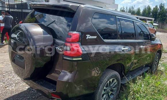 Oofamaa Toyota Land Cruiser Other Makiinaa iti Addis–Ababa keessatti Ethiopia keessatti Oofamaa Toyota Land Cruiser Other Makiinaa iti Addis–Ababa keessatti Ethiopia keessatti