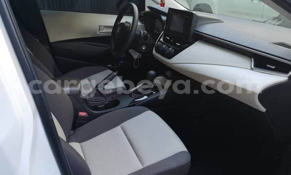 Oofamaa Toyota Corolla White Makiinaa iti Addis–Ababa keessatti Ethiopia keessatti Oofamaa Toyota Corolla White Makiinaa iti Addis–Ababa keessatti Ethiopia keessatti