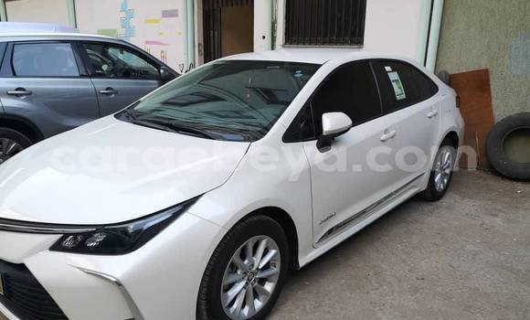 Oofamaa Toyota Corolla White Makiinaa iti Addis–Ababa keessatti Ethiopia keessatti Oofamaa Toyota Corolla White Makiinaa iti Addis–Ababa keessatti Ethiopia keessatti