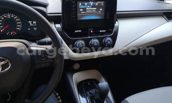 Oofamaa Toyota Corolla White Makiinaa iti Addis–Ababa keessatti Ethiopia keessatti Oofamaa Toyota Corolla White Makiinaa iti Addis–Ababa keessatti Ethiopia keessatti