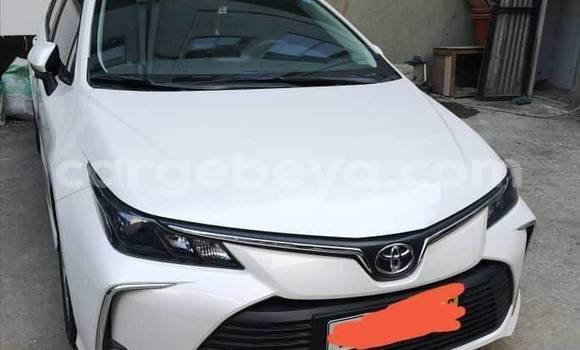 Oofamaa Toyota Corolla White Makiinaa iti Addis–Ababa keessatti Ethiopia keessatti Oofamaa Toyota Corolla White Makiinaa iti Addis–Ababa keessatti Ethiopia keessatti