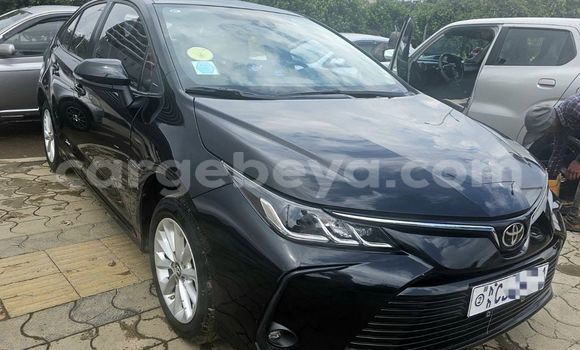 Oofamaa Toyota Corolla Black Makiinaa iti Addigrat keessatti Tigray keessatti Oofamaa Toyota Corolla Black Makiinaa iti Addigrat keessatti Tigray keessatti