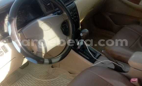 Buy Used Toyota Corolla Other Car in Addis–Ababa in Ethiopia Buy Used Toyota Corolla Other Car in Addis–Ababa in Ethiopia