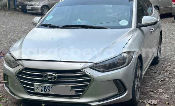 Buy Used Hyundai Elantra Other Car in Addis–Ababa in Ethiopia