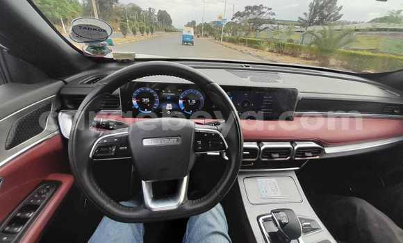 Buy Used Toyota Corolla Cross White Car in Adet in Amhara Buy Used Toyota Corolla Cross White Car in Adet in Amhara