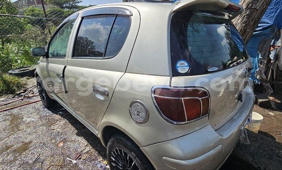 Buy Used Toyota Vitz Other Car in Addiet–Canna in Ethiopia Buy Used Toyota Vitz Other Car in Addiet–Canna in Ethiopia