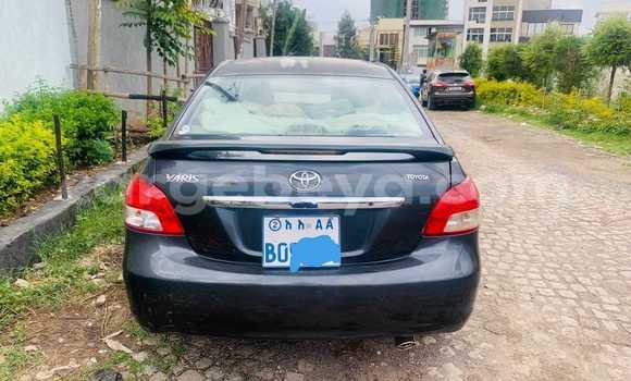 Buy Used Toyota Yaris Black Car in Addis–Ababa in Ethiopia Buy Used Toyota Yaris Black Car in Addis–Ababa in Ethiopia
