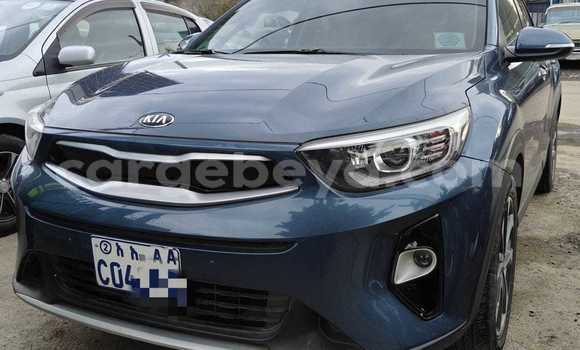 Buy Used Kia Stonic Other Car in Addis–Ababa in Ethiopia Buy Used Kia Stonic Other Car in Addis–Ababa in Ethiopia