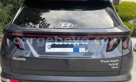 Buy Used Hyundai Tucson Other Car in Addigrat in Tigray Buy Used Hyundai Tucson Other Car in Addigrat in Tigray