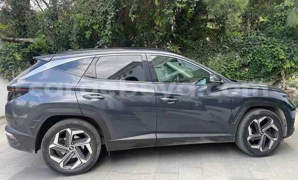 Buy Used Hyundai Tucson Other Car in Addigrat in Tigray Buy Used Hyundai Tucson Other Car in Addigrat in Tigray