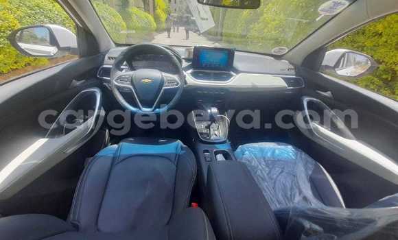 Buy Used Chevrolet Captiva White Car in Addigrat in Tigray Buy Used Chevrolet Captiva White Car in Addigrat in Tigray