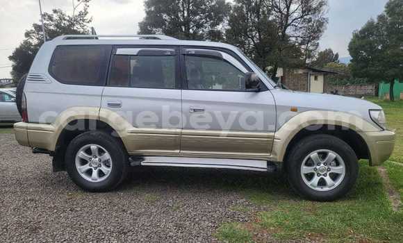 Buy Used Toyota Land Cruiser Other Car in Addigrat in Tigray Buy Used Toyota Land Cruiser Other Car in Addigrat in Tigray