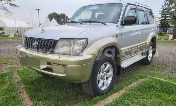 Buy Used Toyota Land Cruiser Other Car in Addigrat in Tigray Buy Used Toyota Land Cruiser Other Car in Addigrat in Tigray
