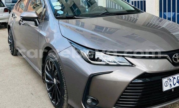 Buy Used Toyota Corolla Other Car in Addiet–Canna in Ethiopia Buy Used Toyota Corolla Other Car in Addiet–Canna in Ethiopia