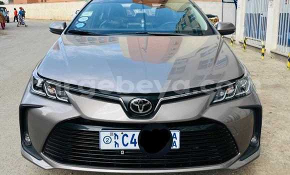 Buy Used Toyota Corolla Other Car in Addiet–Canna in Ethiopia Buy Used Toyota Corolla Other Car in Addiet–Canna in Ethiopia