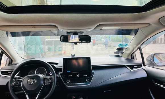 Buy Used Toyota Corolla Other Car in Addiet–Canna in Ethiopia Buy Used Toyota Corolla Other Car in Addiet–Canna in Ethiopia