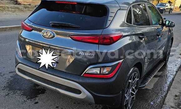 Buy Used Hyundai Kona Black Car in Addis 'Alem in Amhara Buy Used Hyundai Kona Black Car in Addis 'Alem in Amhara
