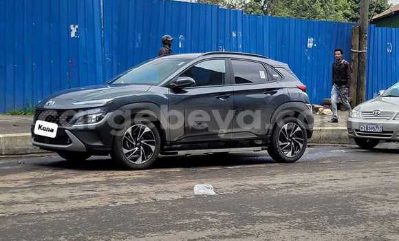 Buy Used Hyundai Kona Black Car in Addis 'Alem in Amhara Buy Used Hyundai Kona Black Car in Addis 'Alem in Amhara