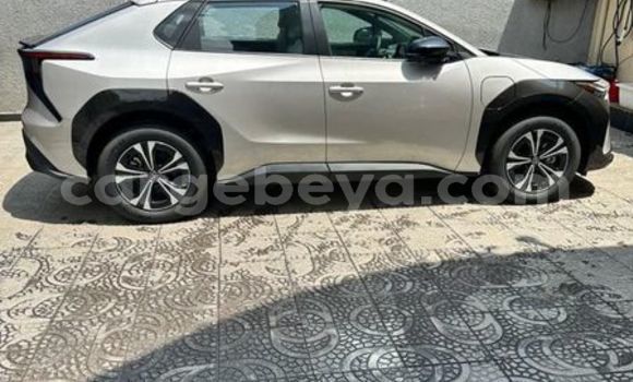 Buy Used Toyota Blizzard Other Car in Addiet–Canna in Ethiopia Buy Used Toyota Blizzard Other Car in Addiet–Canna in Ethiopia