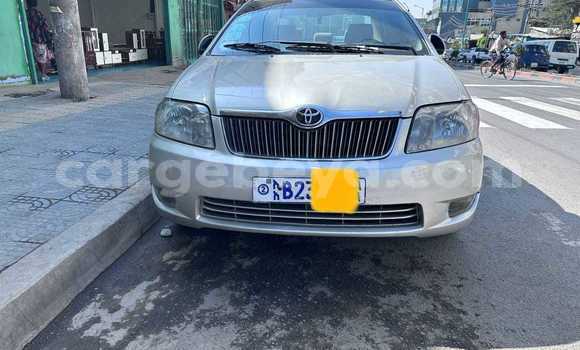 Oofamaa Toyota Corolla Other Makiinaa iti Addi Ark'ay keessatti Amhara keessatti