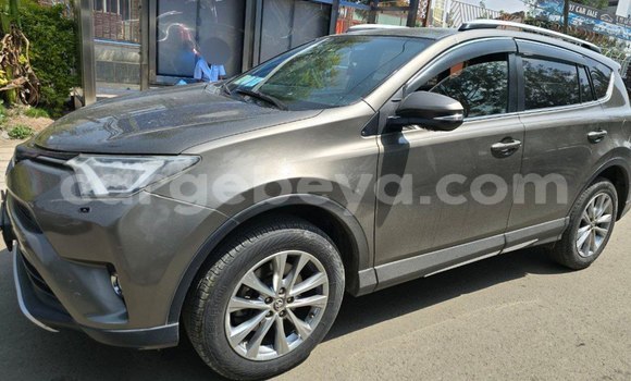 Buy Used Toyota RAV4 Brown Car in Addis–Ababa in Ethiopia Buy Used Toyota RAV4 Brown Car in Addis–Ababa in Ethiopia