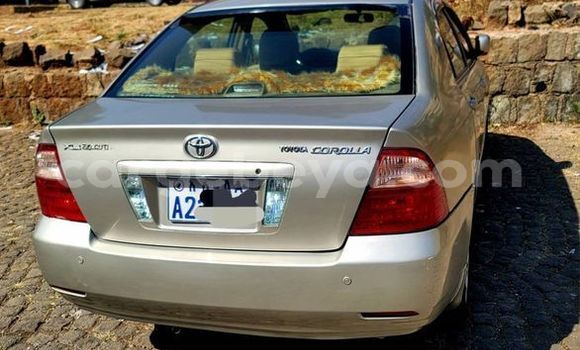 ይግዙ ያገለገለ Toyota Corolla ሌላ መኪና በ አቲ አረታይ በ አማራ ይግዙ ያገለገለ Toyota Corolla ሌላ መኪና በ አቲ አረታይ በ አማራ