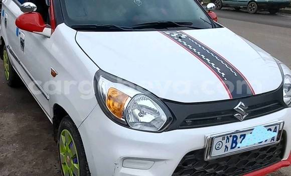 Buy Used Suzuki Alto White Car in Addi Ark'ay in Amhara Buy Used Suzuki Alto White Car in Addi Ark'ay in Amhara