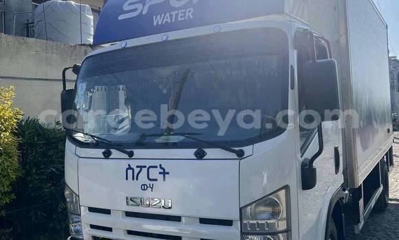 Buy Used Isuzu FTR 850 Other Truck in Addigrat in Tigray Buy Used Isuzu FTR 850 Other Truck in Addigrat in Tigray