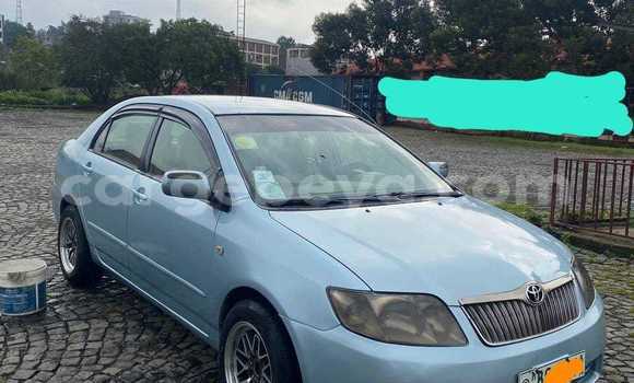 Buy Used Toyota Corolla Other Car in Addiet–Canna in Ethiopia