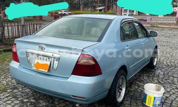 Acheter Occasion Voiture Toyota Corolla Autre à Addiet–Canna, Ethiopie Acheter Occasion Voiture Toyota Corolla Autre à Addiet–Canna, Ethiopie