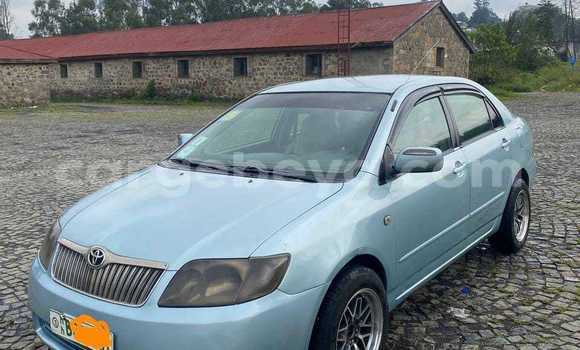 Acheter Occasion Voiture Toyota Corolla Autre à Addiet–Canna, Ethiopie Acheter Occasion Voiture Toyota Corolla Autre à Addiet–Canna, Ethiopie