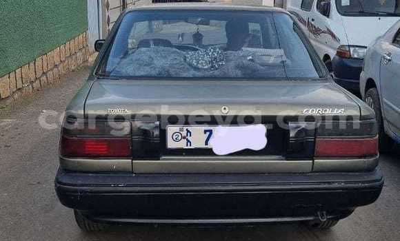 Acheter Occasion Voiture Toyota Windom Autre à Addiet–Canna, Ethiopie Acheter Occasion Voiture Toyota Windom Autre à Addiet–Canna, Ethiopie