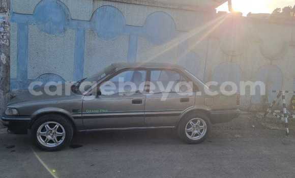 Acheter Occasion Voiture Toyota Windom Autre à Addiet–Canna, Ethiopie Acheter Occasion Voiture Toyota Windom Autre à Addiet–Canna, Ethiopie