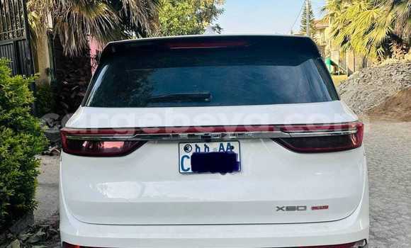 Acheter Occasion Voiture Toyota Land Cruiser Blanc à Addigrat, Tigray Acheter Occasion Voiture Toyota Land Cruiser Blanc à Addigrat, Tigray