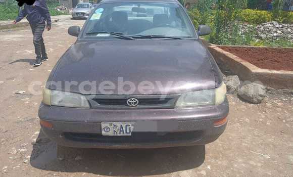 Acheter Occasion Voiture Toyota Corolla Autre à Addi Ark'ay, Amhara