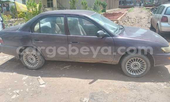 ይግዙ ያገለገለ Toyota Corolla ሌላ መኪና በ አቲ አረታይ በ አማራ ይግዙ ያገለገለ Toyota Corolla ሌላ መኪና በ አቲ አረታይ በ አማራ