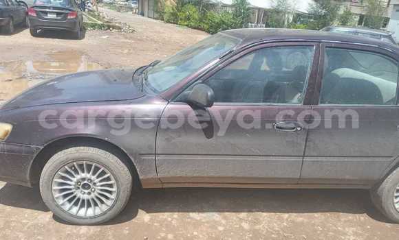 ይግዙ ያገለገለ Toyota Corolla ሌላ መኪና በ አቲ አረታይ በ አማራ ይግዙ ያገለገለ Toyota Corolla ሌላ መኪና በ አቲ አረታይ በ አማራ