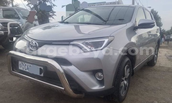 Buy Used Toyota RAV4 Other Car in Ādīgrat in Ethiopia