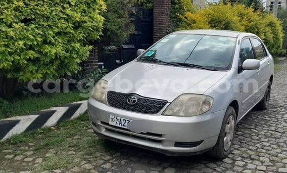 Buy Used Toyota Corolla Other Car in Addigrat in Tigray
