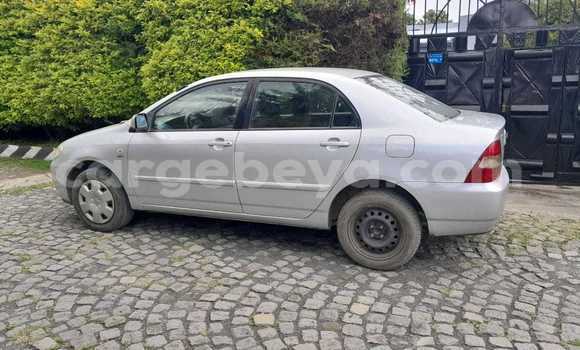 ይግዙ ያገለገለ Toyota Corolla ሌላ መኪና በ አክል በ ትግራይ ይግዙ ያገለገለ Toyota Corolla ሌላ መኪና በ አክል በ ትግራይ