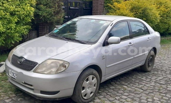 ይግዙ ያገለገለ Toyota Corolla ሌላ መኪና በ አክል በ ትግራይ ይግዙ ያገለገለ Toyota Corolla ሌላ መኪና በ አክል በ ትግራይ