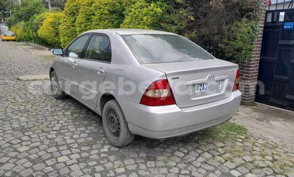 ይግዙ ያገለገለ Toyota Corolla ሌላ መኪና በ አክል በ ትግራይ ይግዙ ያገለገለ Toyota Corolla ሌላ መኪና በ አክል በ ትግራይ