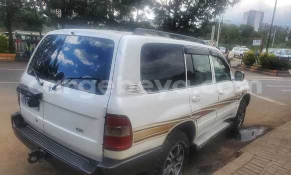 ይግዙ ያገለገለ Toyota Land Cruiser ነጭ መኪና በ አዲስ አበባ በ ኢትዮጵያ ይግዙ ያገለገለ Toyota Land Cruiser ነጭ መኪና በ አዲስ አበባ በ ኢትዮጵያ