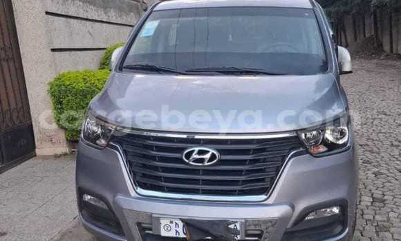Buy Used Hyundai Starex Other Car in Arba Minch in Southern Buy Used Hyundai Starex Other Car in Arba Minch in Southern