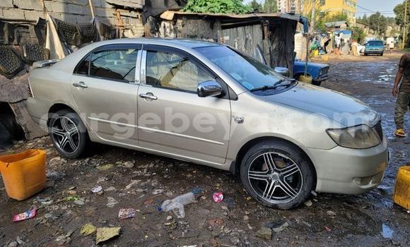 Acheter Occasion Voiture Toyota Corolla Autre à Abiy Adi, Tigray Acheter Occasion Voiture Toyota Corolla Autre à Abiy Adi, Tigray