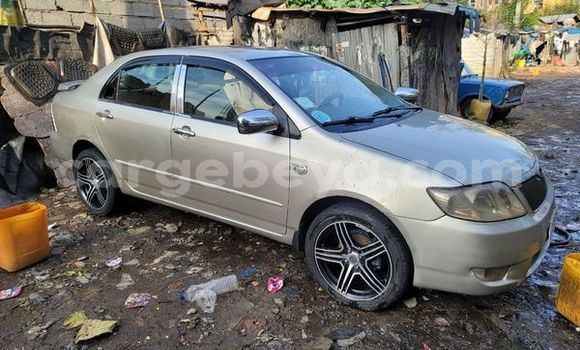 Acheter Occasion Voiture Toyota Corolla Autre à Abiy Adi, Tigray Acheter Occasion Voiture Toyota Corolla Autre à Abiy Adi, Tigray