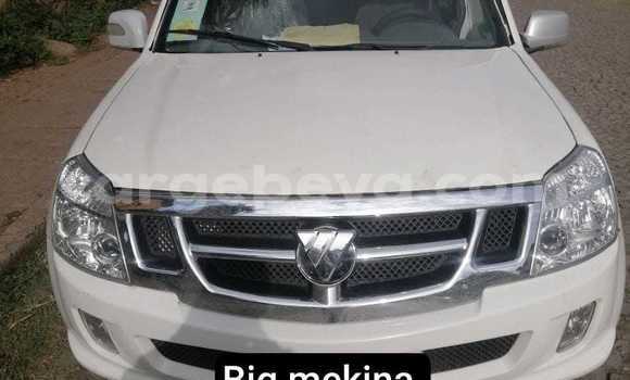 Buy Used Toyota Alphard Other Car in Addi Ark'ay in Amhara