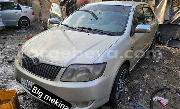 Oofamaa Toyota Corolla Other Makiinaa iti Addiet–Canna keessatti Ethiopia keessatti