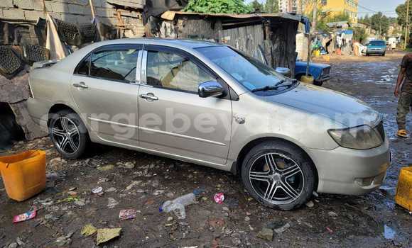 Acheter Occasion Voiture Toyota Corolla Autre à Addiet–Canna, Ethiopie Acheter Occasion Voiture Toyota Corolla Autre à Addiet–Canna, Ethiopie